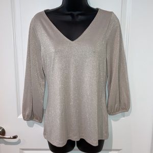 NWT ANN TAYLOR VNECK BLOUSE